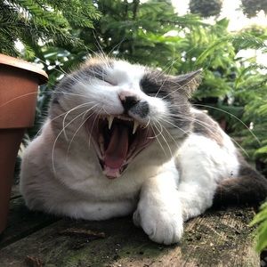 Meet your Posher, Vanessa